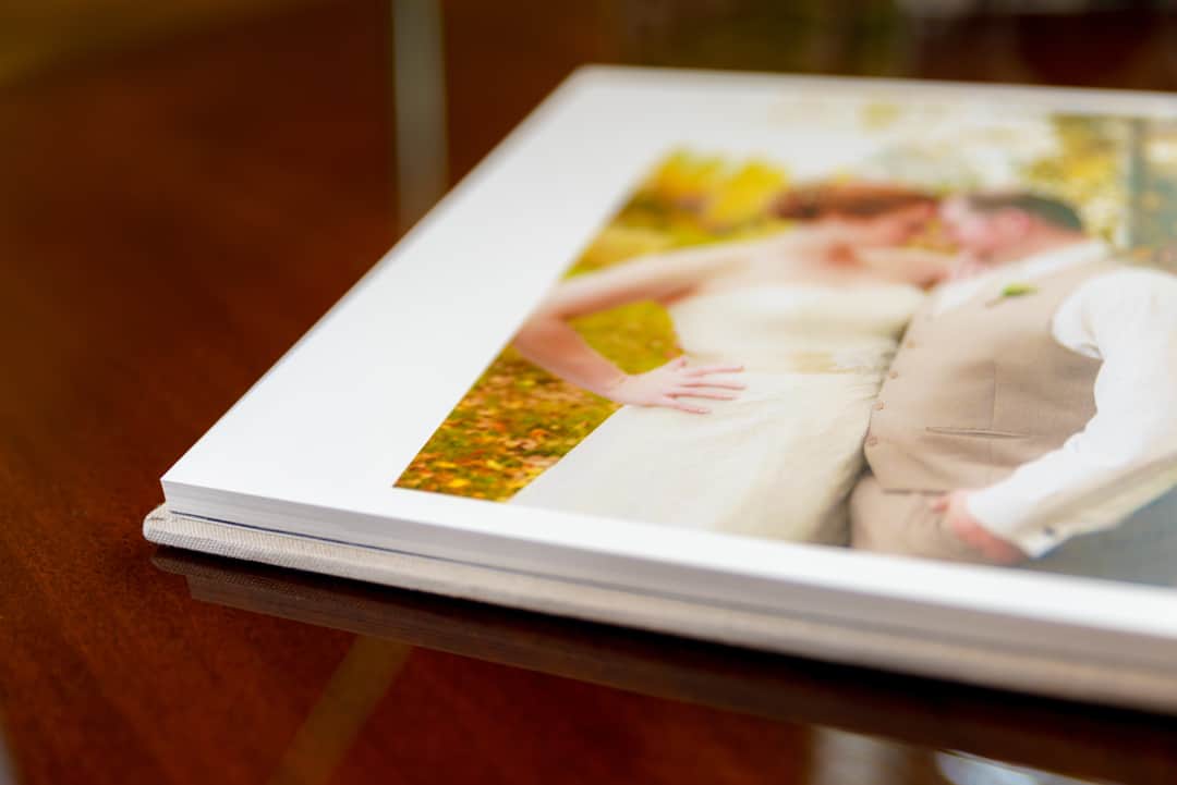 Wedding Albums, Professional Portraits, Engagement Photography, Oh My!