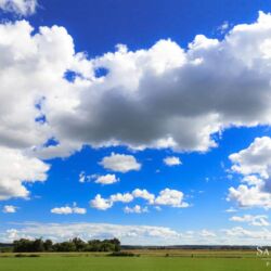 "Midwest Summer" Midwest Summer