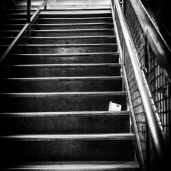 "Day 135"
